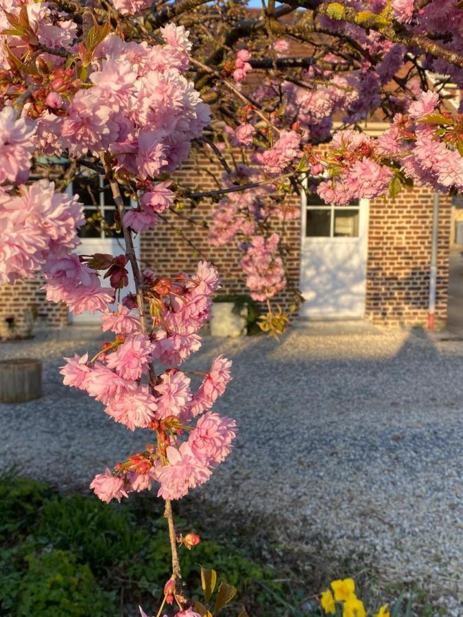Le Domaine Des Saules Βίλα Richebourg  Εξωτερικό φωτογραφία